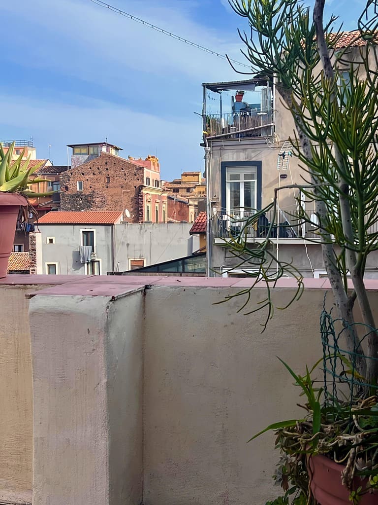 Home gallery image 17